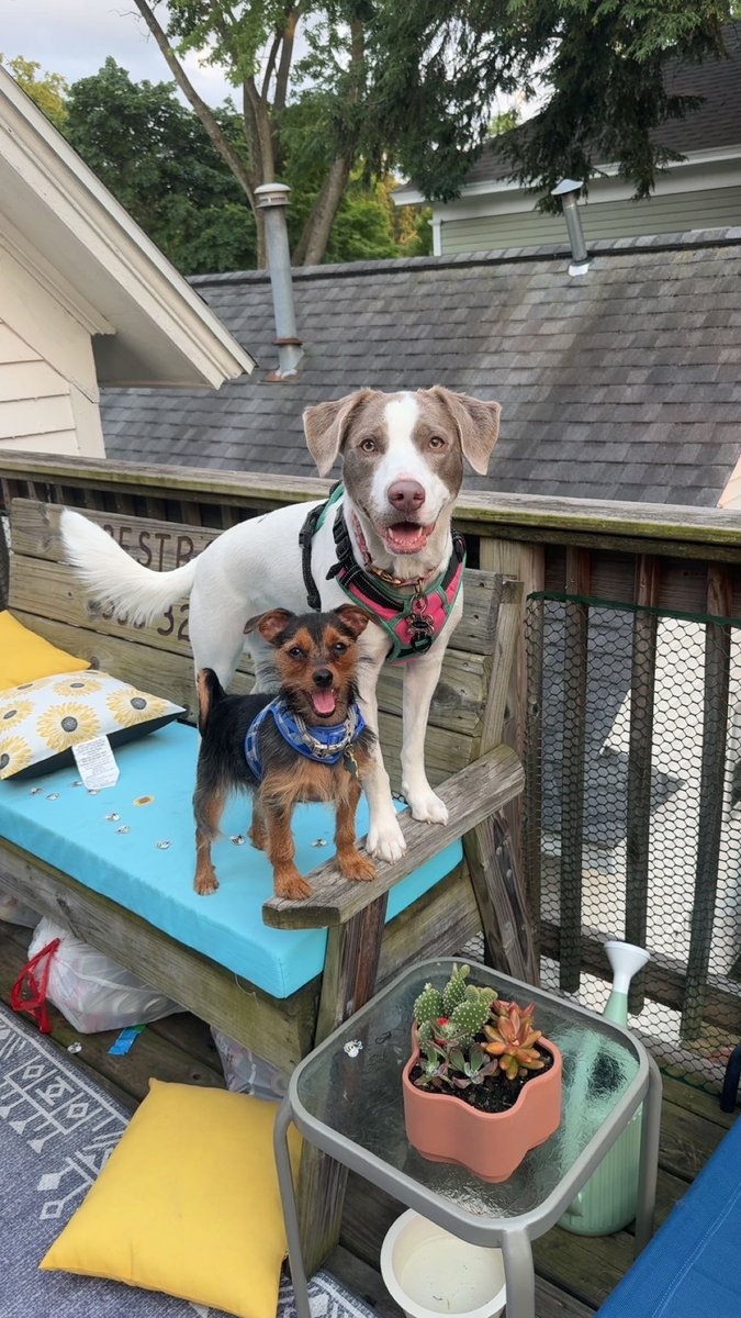 Shawn Porter Jr tweet media