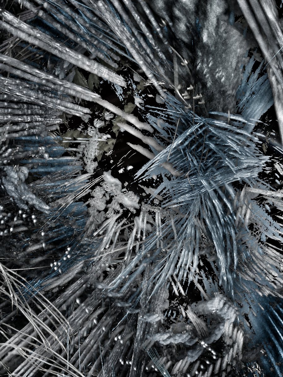 Yo, art lovers! 🚨 We have a 24hr giveaway for 'Commotion' by <a href="/paraxenod/">paraxeno daimonio ᴺᶠᵀ ꜩ plektani-art, Christina S.</a>!

A dope motion long-exposure daylight photo, digitally tweaked to perfection. Free to enter, just need a Tezos wallet. Jump into our Discord's giveaway channel to get in on this! 🎨

Don't sleep on this! 🎉