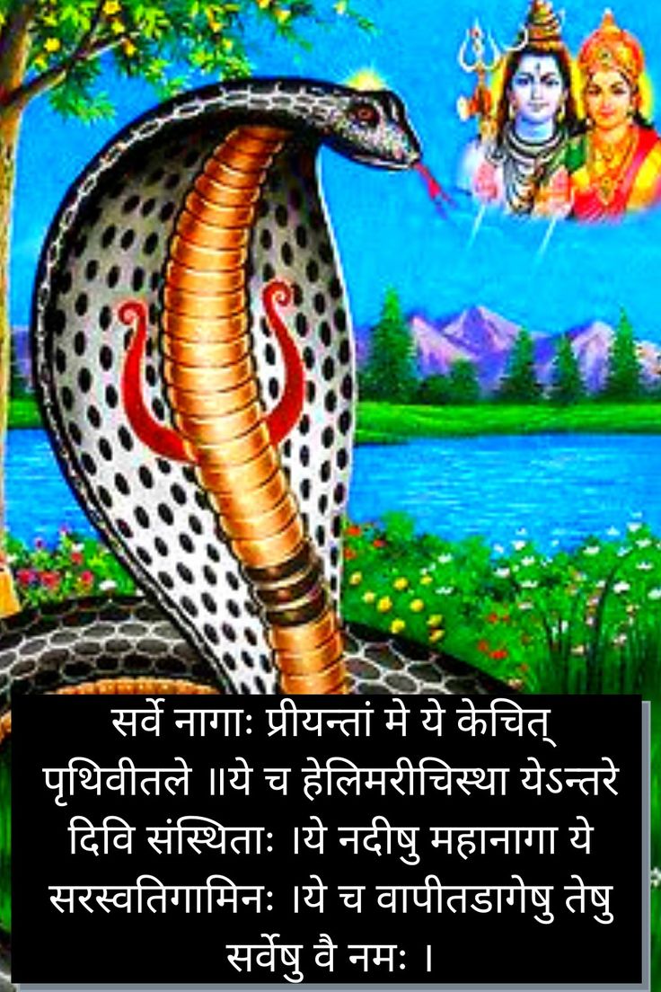 नागपंचमी के पावन पर्व पर सभी को हार्दिक शुभकामनाएं!
 यह दिन प्रकृति और नागदेवता के प्रति श्रद्धा व सम्मान का प्रतीक है। 
आइए, हम सभी सौहार्द और भक्ति के साथ इस उत्सव को मनाएं। 

जय नाग देवता, हर हर महादेव।🙏🚩