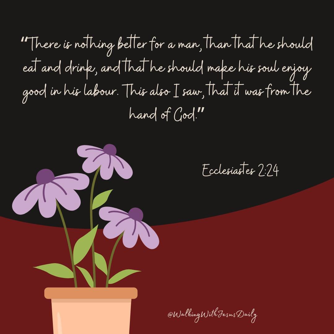 WWJESUS5724's tweet image. Ecclesiastes 2:24
“There is nothing better for a man, than that he should eat and drink, and that he should make his soul enjoy good in his labour. This also I saw, that it was from the hand of God.”

#WalkingWithJesusDaily
#SpendTimeWithGod
#ReadYourBible
#VerseOfTheDay