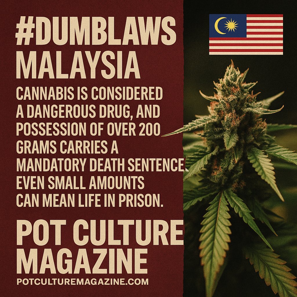 #DumbLaws: In Malaysia, cannabis is considered a dangerous drug, and possession of over 200 grams carries a mandatory death sentence. Even small amounts can mean life in prison. 🇲🇾⚖️🌿
#PotCultureMagazine #DumbLaws #WeedLaws #DrugPolicy #CannabisCulture #LegalizeIt #Cannabis