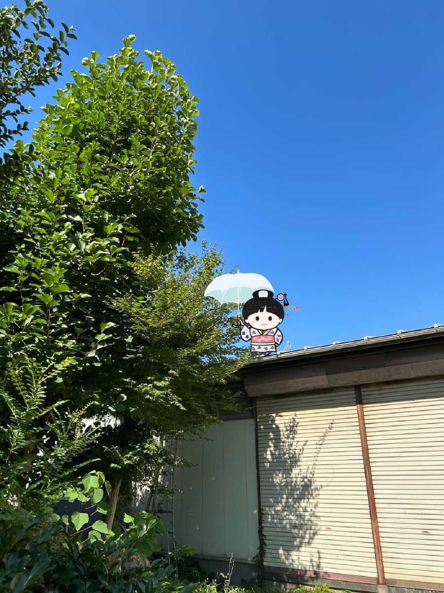 nobarako's tweet image. おはようございます🍀
7月29日火曜日
東京・駒込野ばら社の庭は晴れ
本日も暑いですね🎐
水分、塩分補給しつつ乗り切りましょう〜🍀
さあ
元気で、幸福で、
今日も励みます。
健康を祈ります。