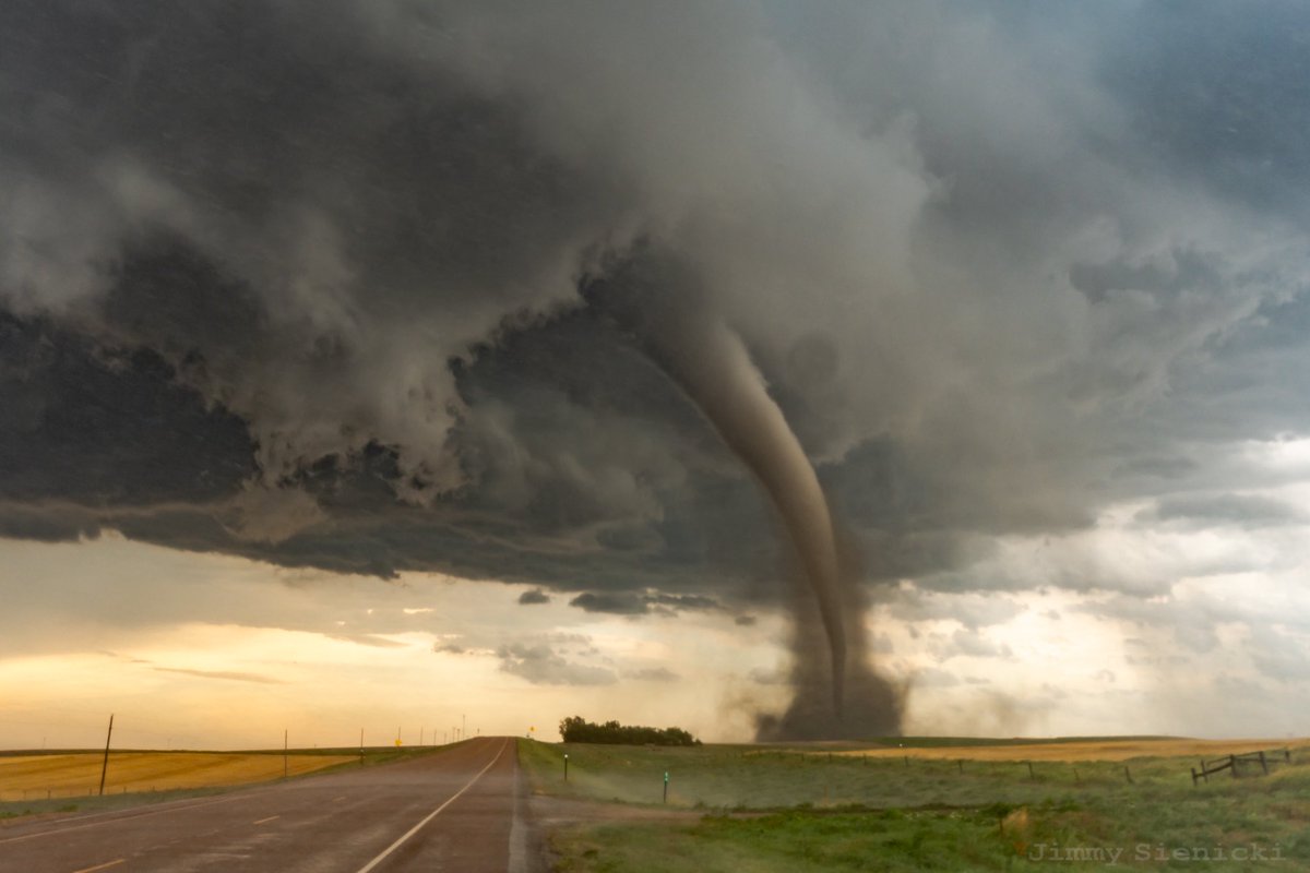 Jimmy Sienicki tweet media