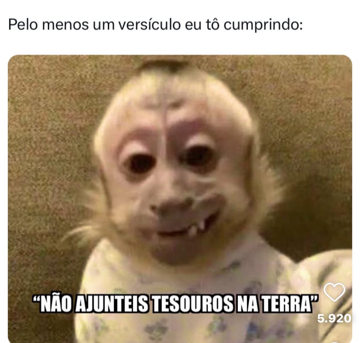 Raquel Coutinho 👦🏻🐩🐕‍🦺 (@coutinho_raquel) on Twitter photo 