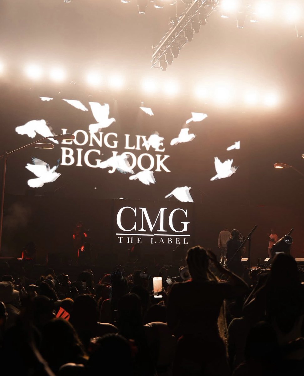DaBoyDame's tweet image. Long as it comes with loyalty, I’m with it… #PlayTooMuch #CMG #LLBigJook