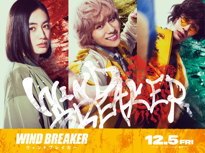 livedoornews's tweet photo. 【12/5公開】水上恒司主演、映画『WIND BREAKER』新キャスト発表！迫力アクションシーンも解禁
https://t.co/RTedyc3394

◆新キャスト
・八木莉可子（橘ことは役）
・山下幸輝（兎耳山丁子役）
・濱尾ノリタカ（十亀条役）
