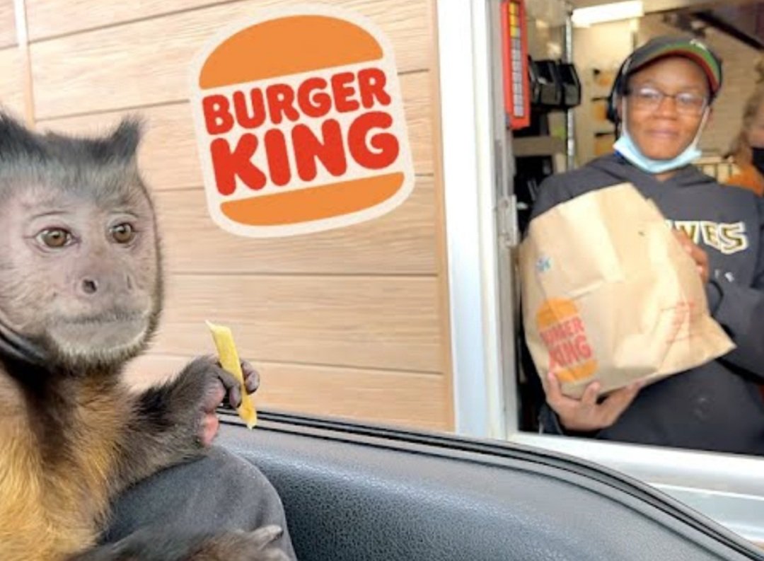 Thank you Tony Cheeseburger I appreciate you and I love that name!🐒👍🍔