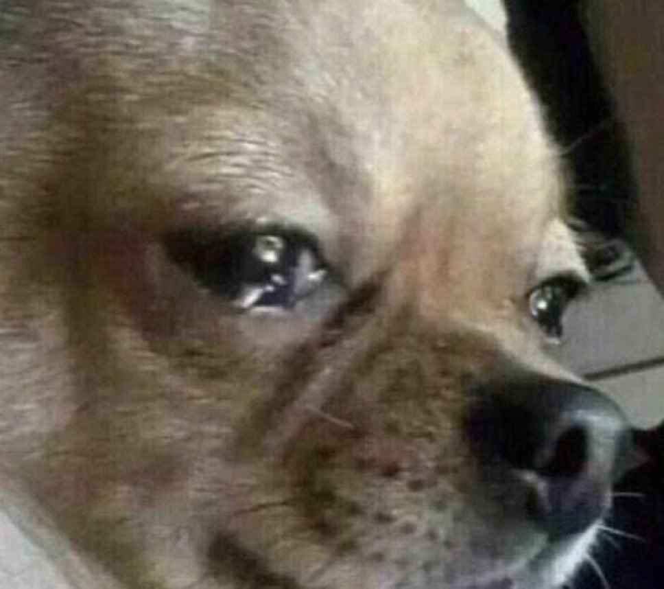 GTC901's tweet image. Me seeing everyone become Jay Huff stans the moment he leaves the Grizzlies