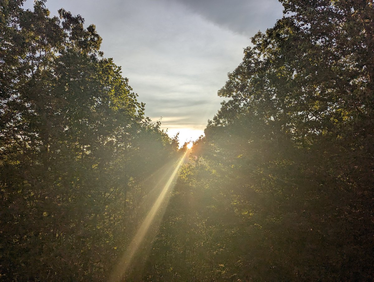 The door between day and night slowly closes. Good evening from Transylvania County!