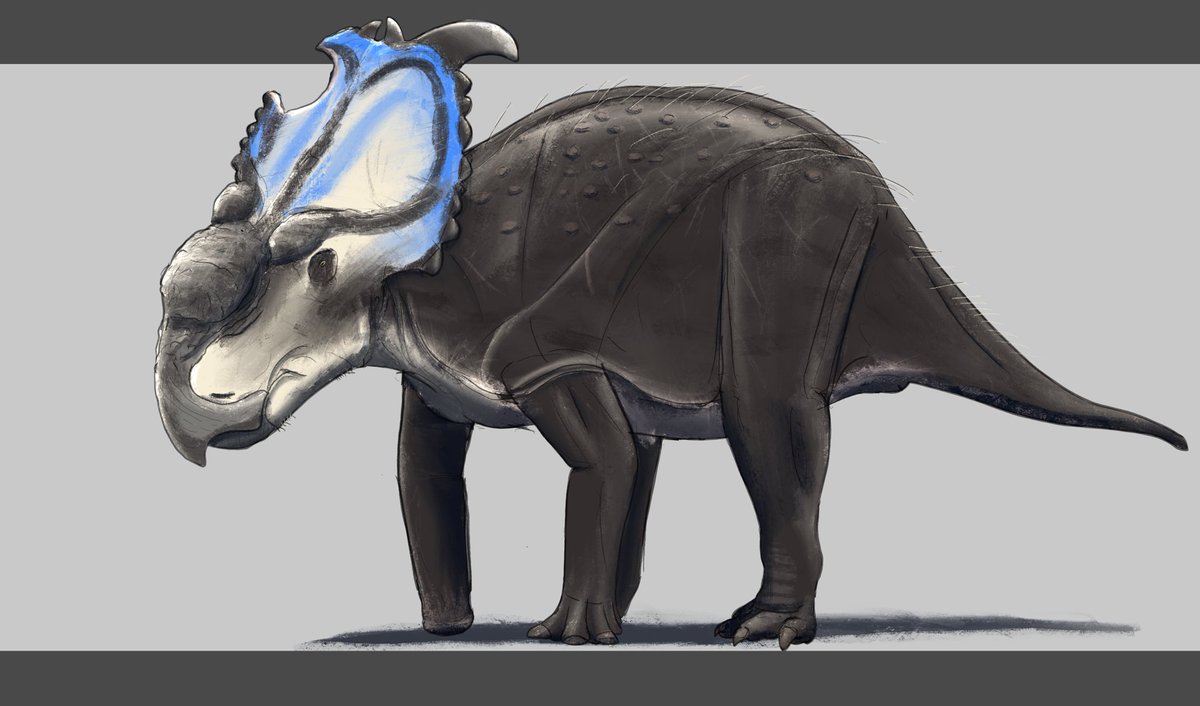 First commission ever raaaghhhhhh
13 bucks acquired raaghhhhh