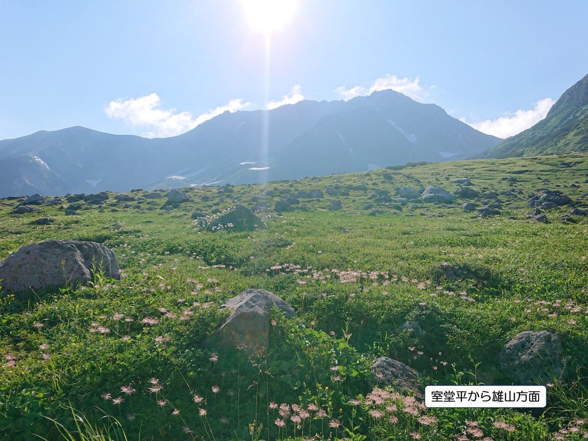 toyama_sangaku's tweet image. 室堂天候【午前８時】
晴れ、21℃、無風、視界良好
剱沢天候【午前８時】
晴れ、19℃、微風、視界良好
