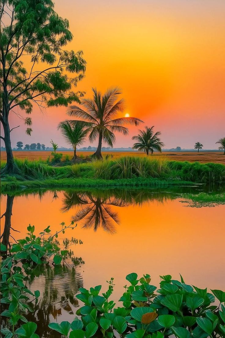 एक अच्छी सुबह हे बारिश के बाद थोड़ी भूख ज्यादा हे तो आज चाय के साथ हलका नाश्ता भी हे..!!

केसा लगा दोस्तो आज की सुबह और नाश्ता..!