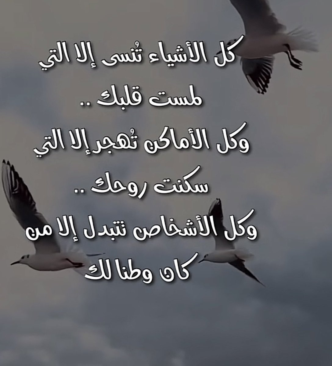 ☘️

الحلا والزود   فيك يامنبع الــذوق
وحلو الحرف   لا نطق فيه إلسانــك

فوق الخلايق   عندي منزلك  فـــوق
بجنب القلب  وسط صدري مكانـــك

☘️
#بس_حبيت_اقول 

            #صباح_الخير☘️🌹

☘️