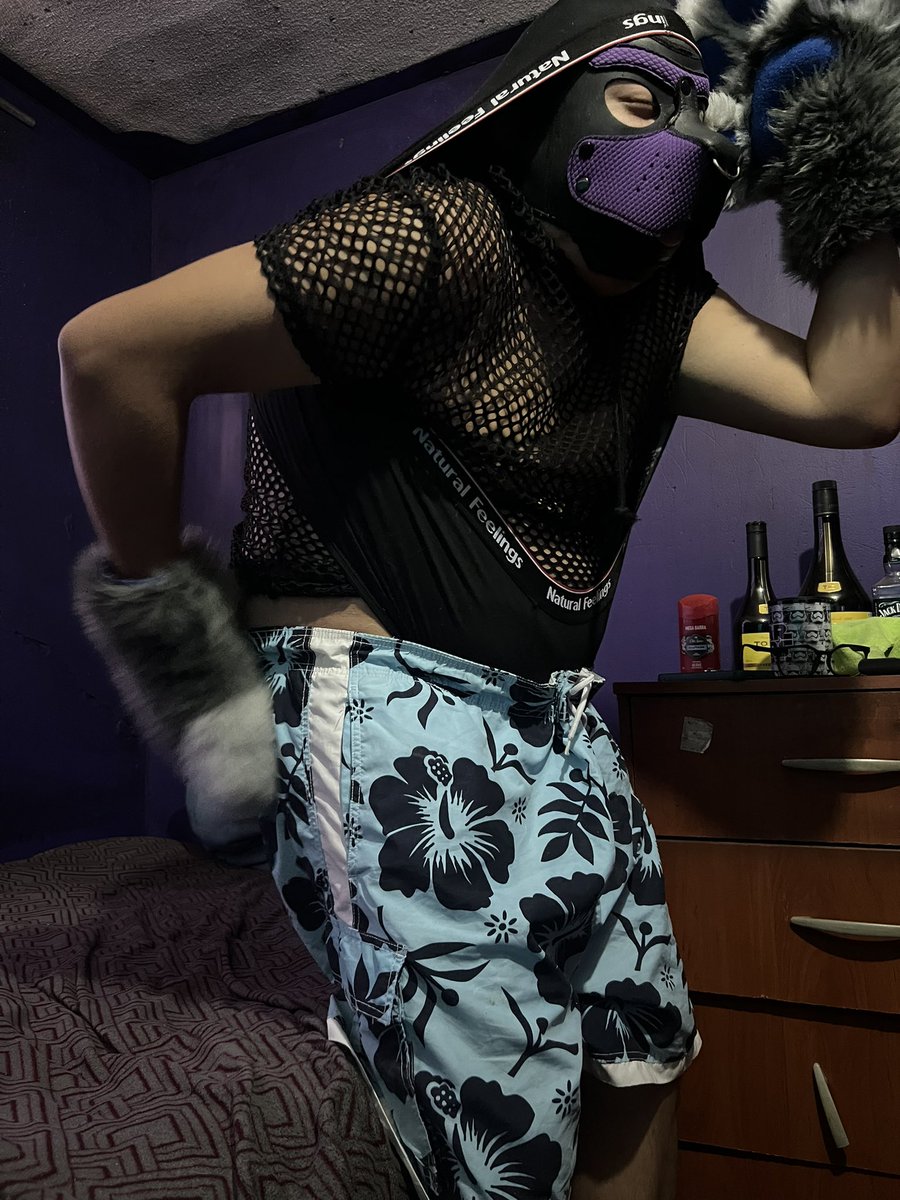 FurroWedgie's tweet photo. Try to take off my new hat with paws is complicated  :/ and lost my shorts does not help https://t.co/FldV9uowRb