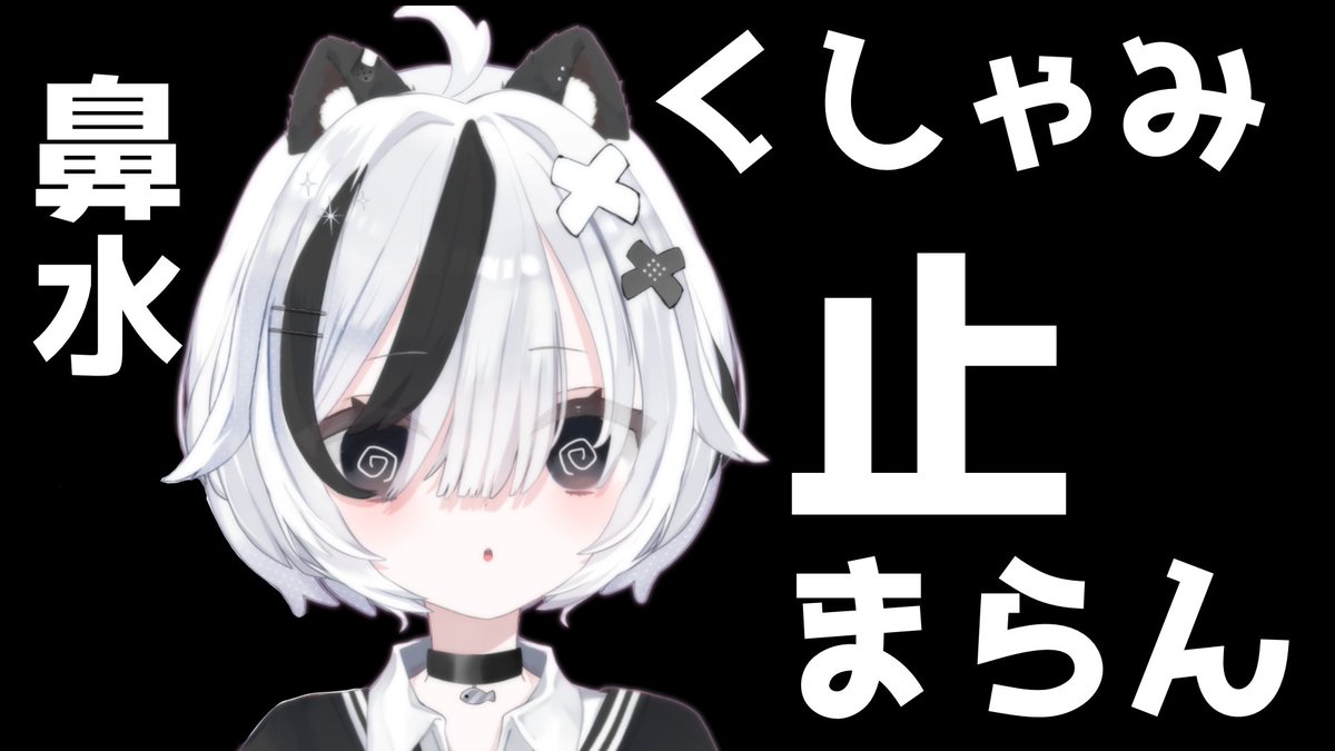 mion_ANIMAL's tweet image. おはみょ｡⋆｡˚ 

たちけて。

#おはようVtuber️ 
#新人Vtuber️