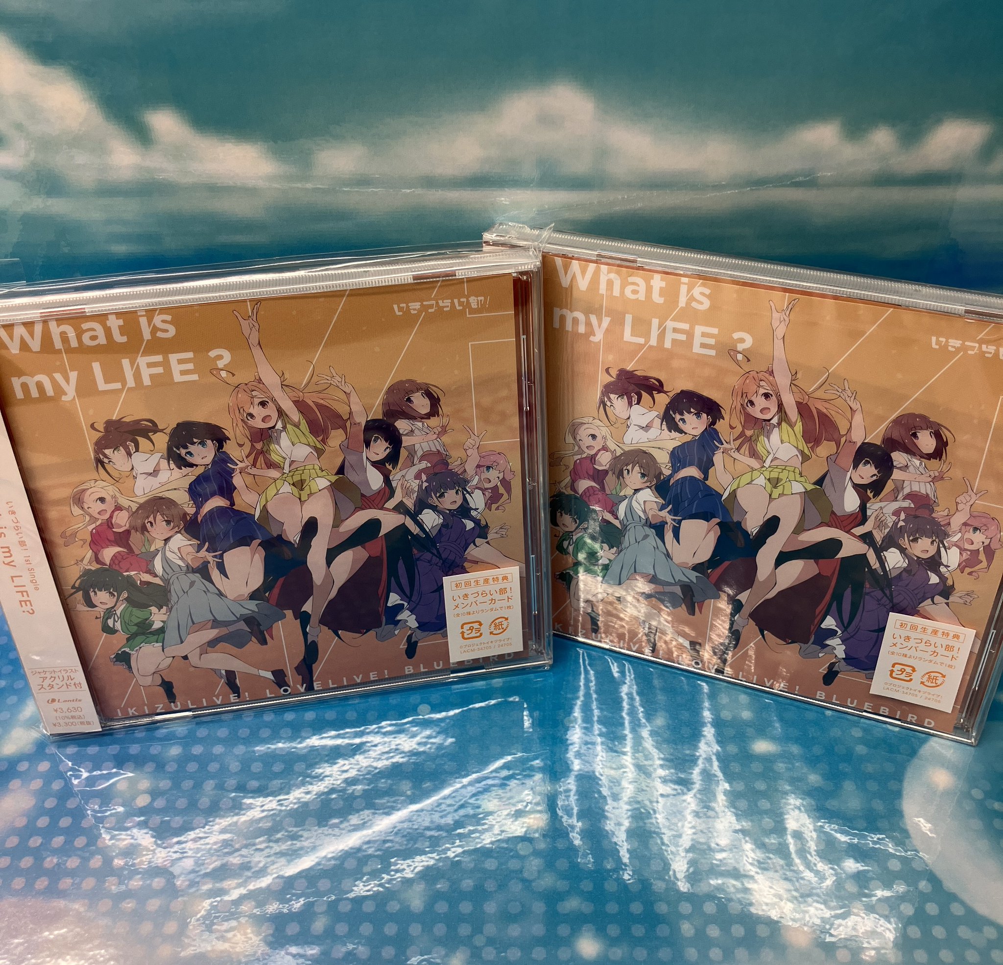 DOAXVV オリジナルA2クリアポスター 秋葉原スタンプラリー特典　3枚 アニメイト秋葉原 on X: 