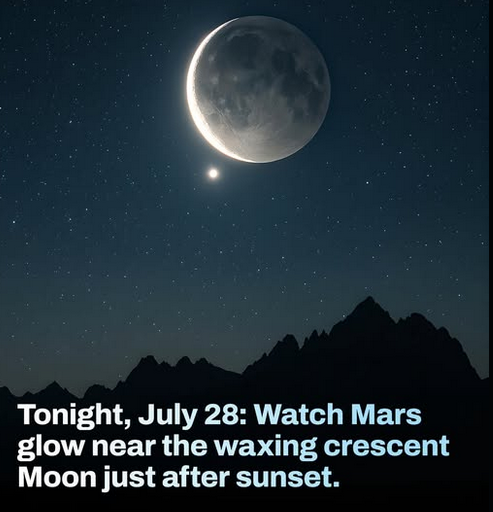 MareQay's tweet image. 