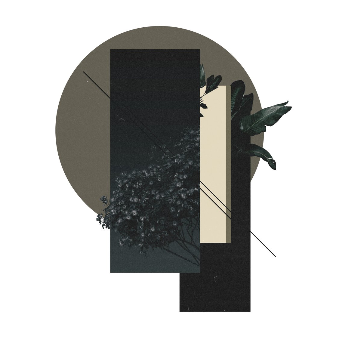 conrad46b's tweet image. Collected 
#1 by @sectr_ 
objkt.com/tokens/KT1Jhnx…