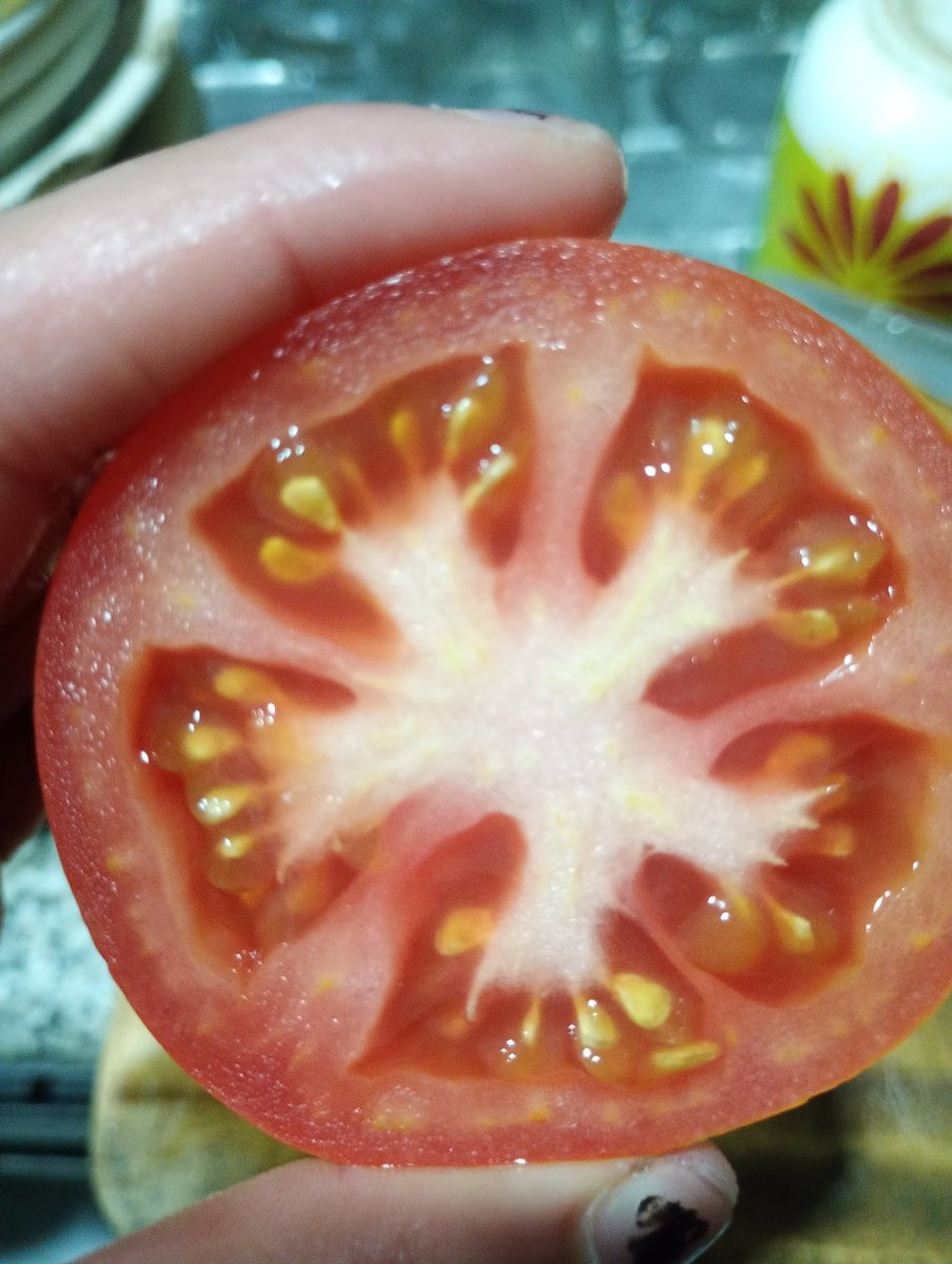 cuandoerasol's tweet image. Me when I&apos;m beautiful and delicious