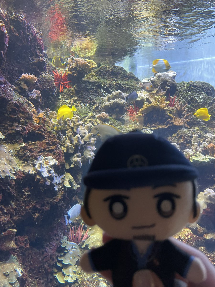mynight_terror's tweet image. Junpei goes to the aquarium 🐠