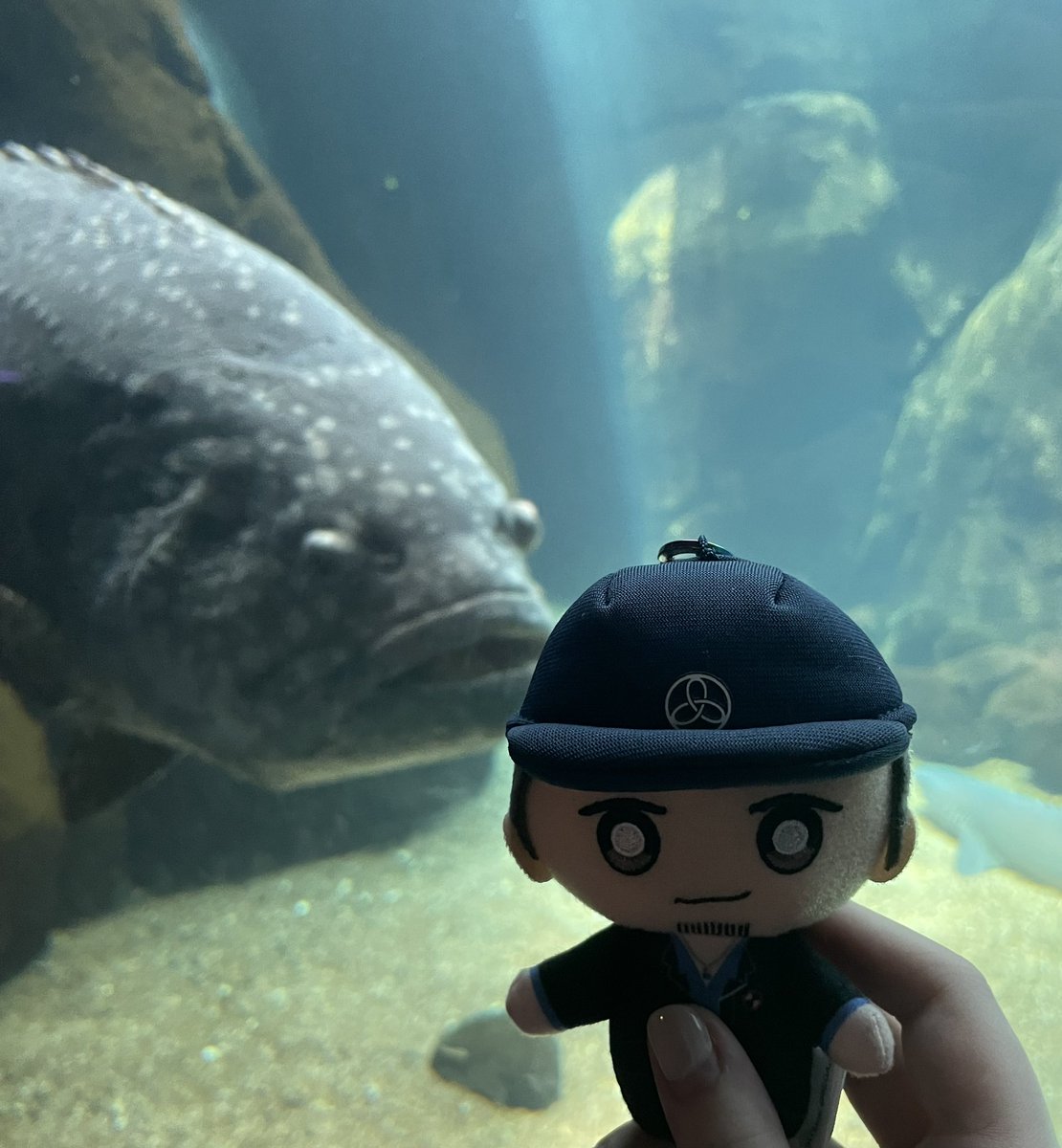 mynight_terror's tweet image. Junpei goes to the aquarium 🐠