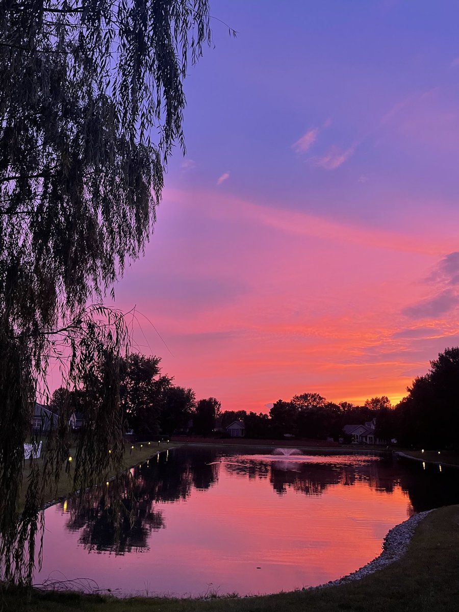 The west pond was especially pretty tonight.🩷