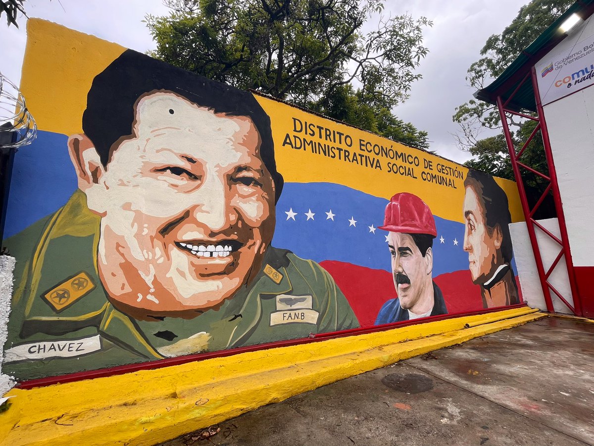 Fernanda Forgerini tweet media