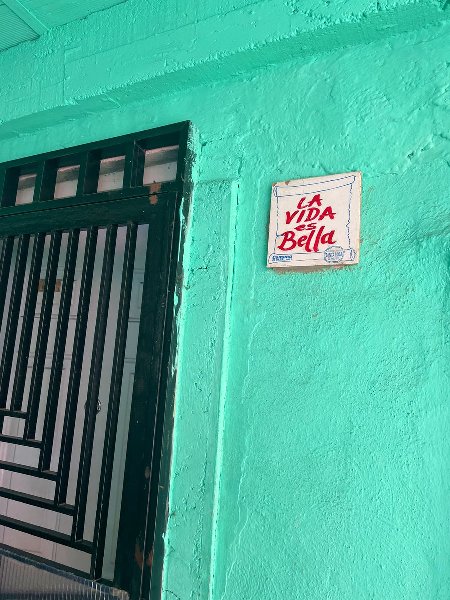 Fernanda Forgerini tweet media