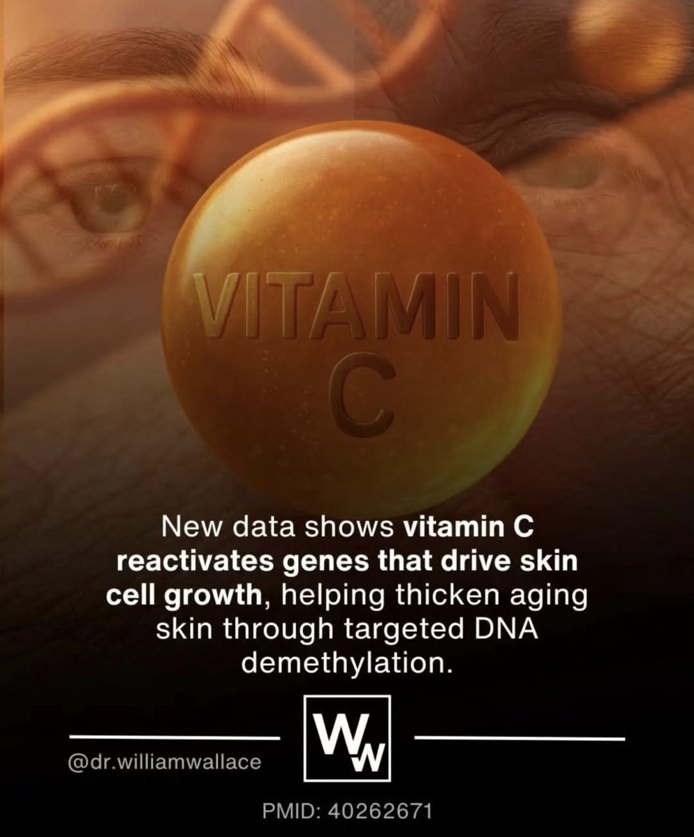 RAndersonViking's tweet photo. #VitaminC #Skin #Collegen #AntiAging #Fitness #Training https://t.co/GyqXxihgIK
