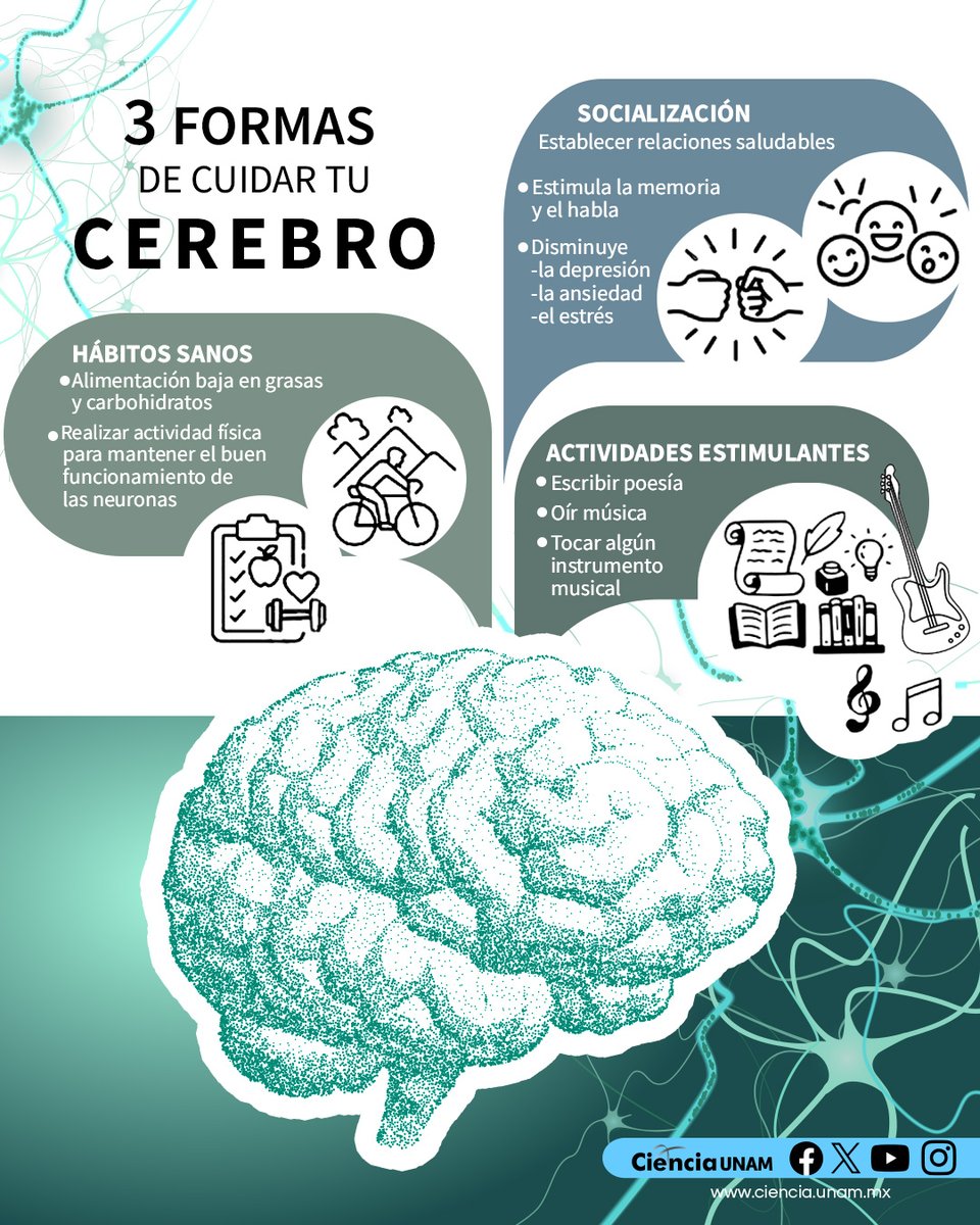 UNAM (@unam_mx) on Twitter photo 🧠💡 Adoptar hábitos saludables es clave para mantener el buen funcionamiento del cerebro. Descubre cómo cuidarlo en esta infografía de <a href="/Ciencia_UNAM/">Ciencia UNAM</a>. ⬇️ 🧠💡 Adoptar hábitos saludables es clave para mantener el buen funcionamiento del cerebro. Descubre cómo cuidarlo en esta infografía de <a href="/Ciencia_UNAM/">Ciencia UNAM</a>. ⬇️