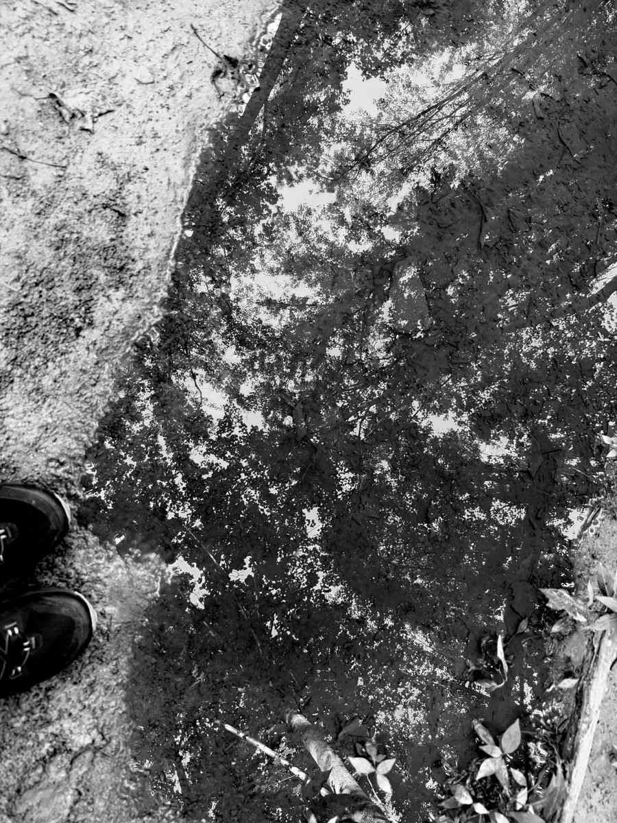 There lies the sky.