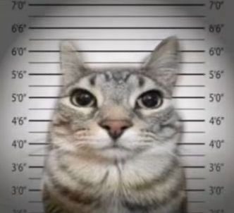 wineorexic's tweet image. Would you go to prison for 6 months to immediately reach your ugw upon release