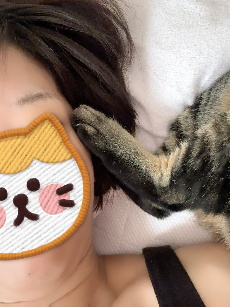 sakurasakuchii's tweet image. ケリ！！

足裏暖かい🐾

#元野良くろちゃん