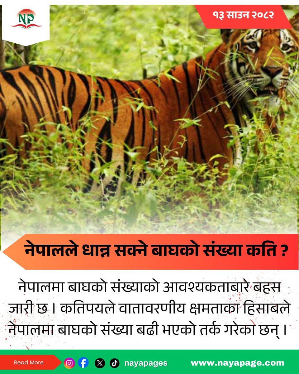 नेपालले धान्न सक्ने बाघको संंख्या कति ?
Read More :-
nayapage.com/archives/615564
#nayapage #Tigers