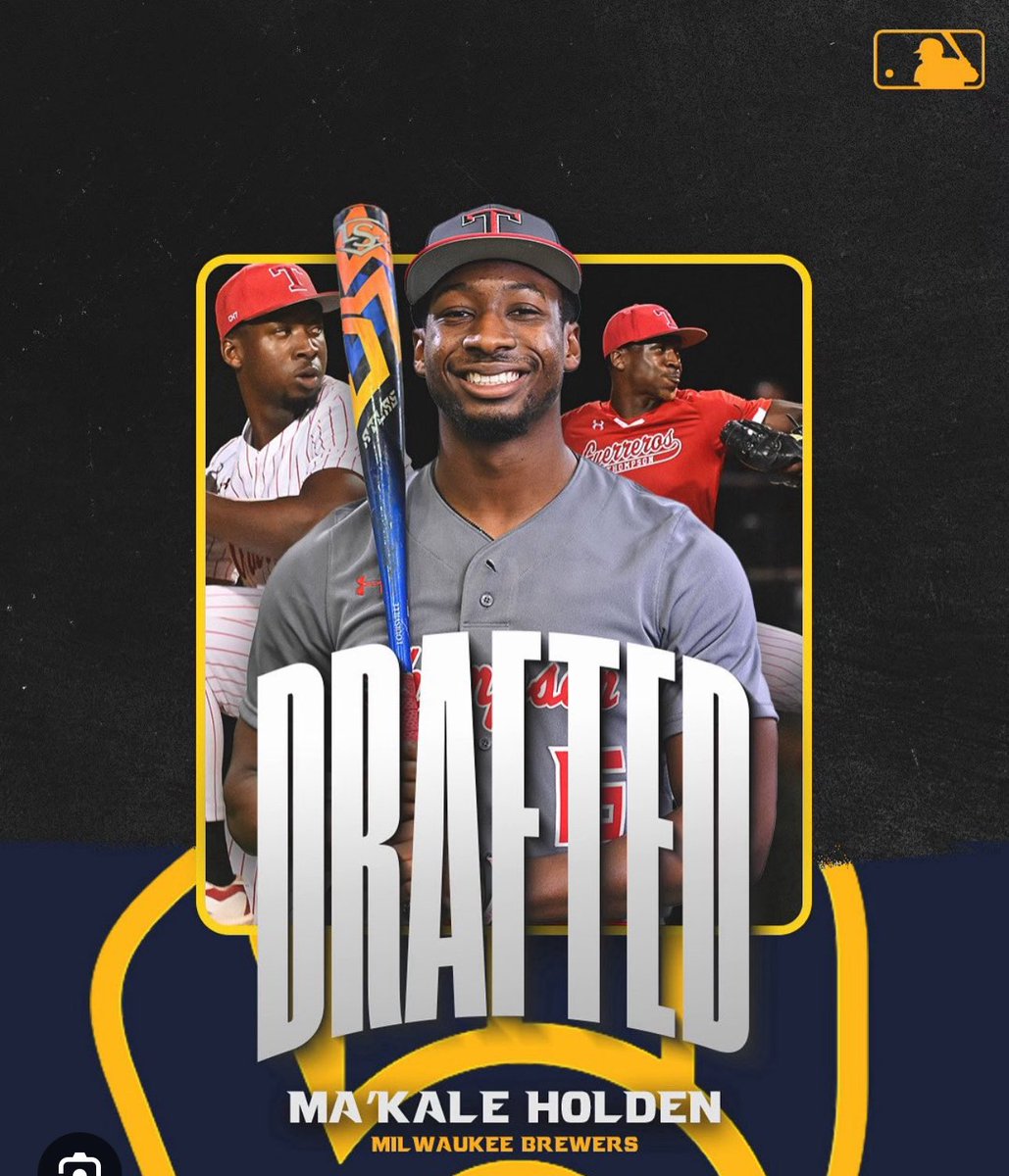 TPL Baseball Development tweet media