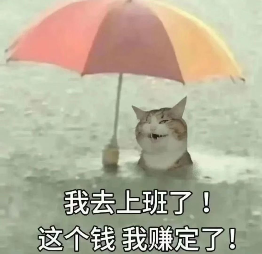 姜汁儿 (@smallaccount33) on Twitter photo 