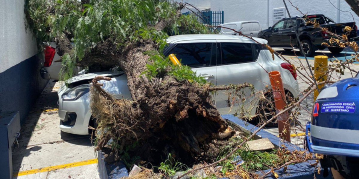 ADNQro's tweet image. 🌳 #Querétaro Fuertes vientos derriban árbol que cae sobre dos vehículos estacionados; permanece alerta de las autoridades

La estructura afectó principalmente a una de las unidades que se encontraban en el interior de una empresa

👉 adninformativo.mx/fuertes-viento…