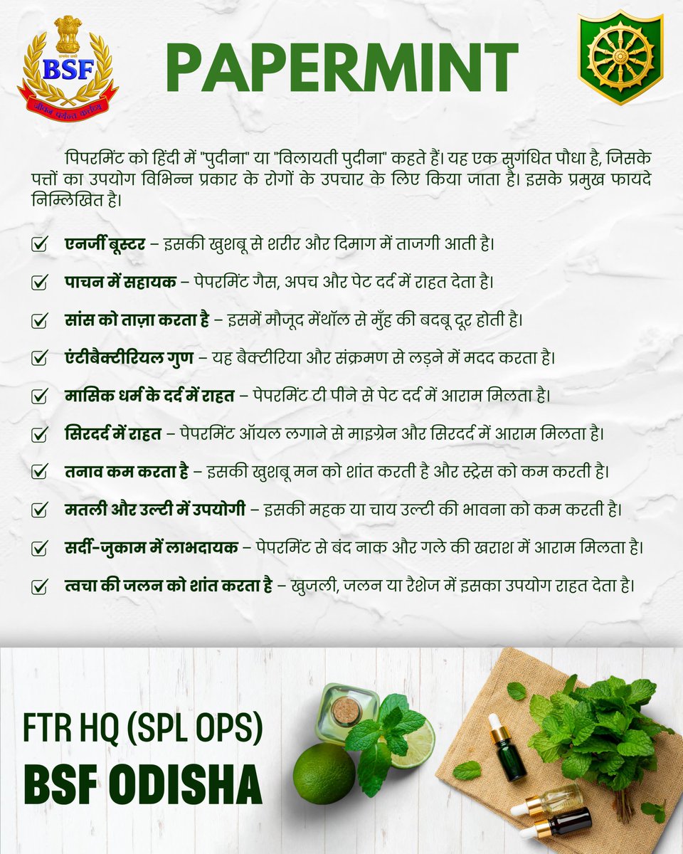 BSFODISHA's tweet image. 🇮🇳 Pudina/Paper Mint Ke Fayde! 🌿
1.Digestive aid
2.Fresh breath
3.Soothing headaches
4.Skin issues
5.Immunity booster
6.Stress relief
7.Hair growth
8.Cooling effect
9.Mental clarity
10.Detoxifier
#MintBenefits
#BSF
#BSFOdisha
#NaturesPharmacy