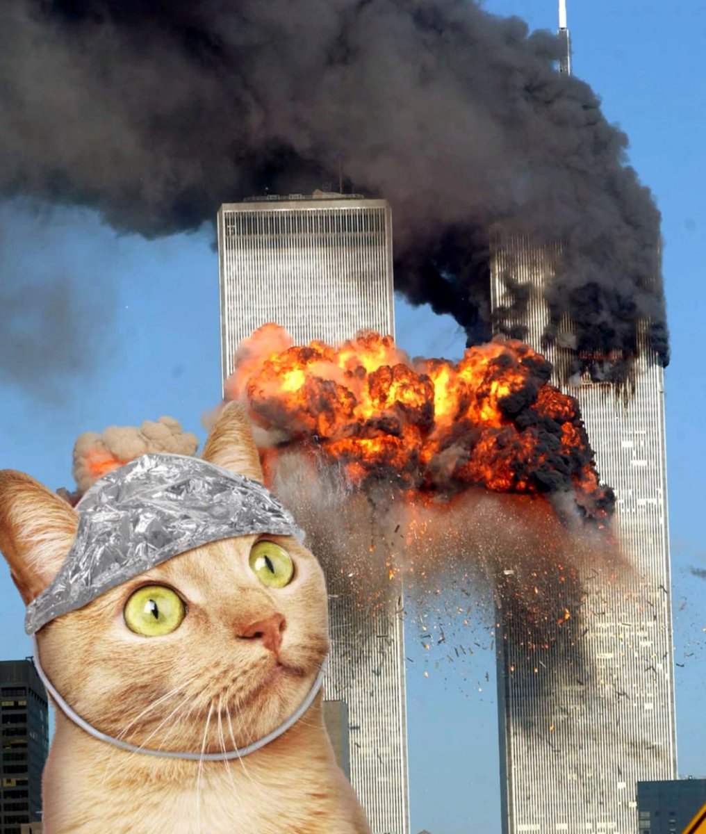 solanarexx's tweet image. they lied to us. TinTin will find the truth