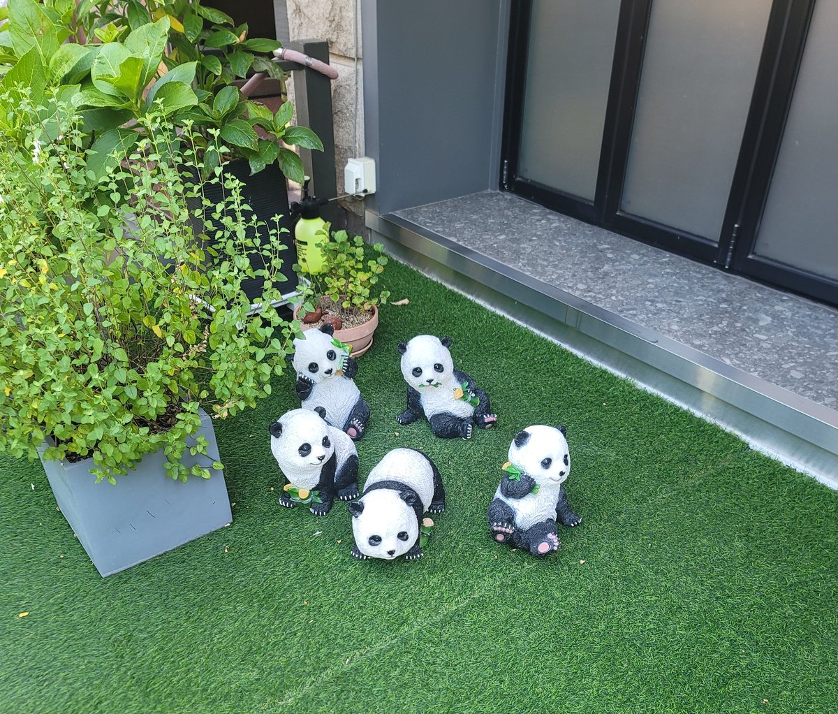 SHD1208's tweet image. 🐼