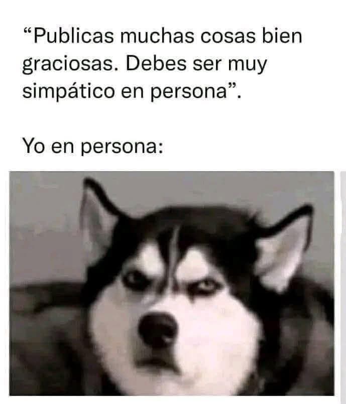 💫La de los Memes SV💫 (@the_memegirlsv) on Twitter photo 