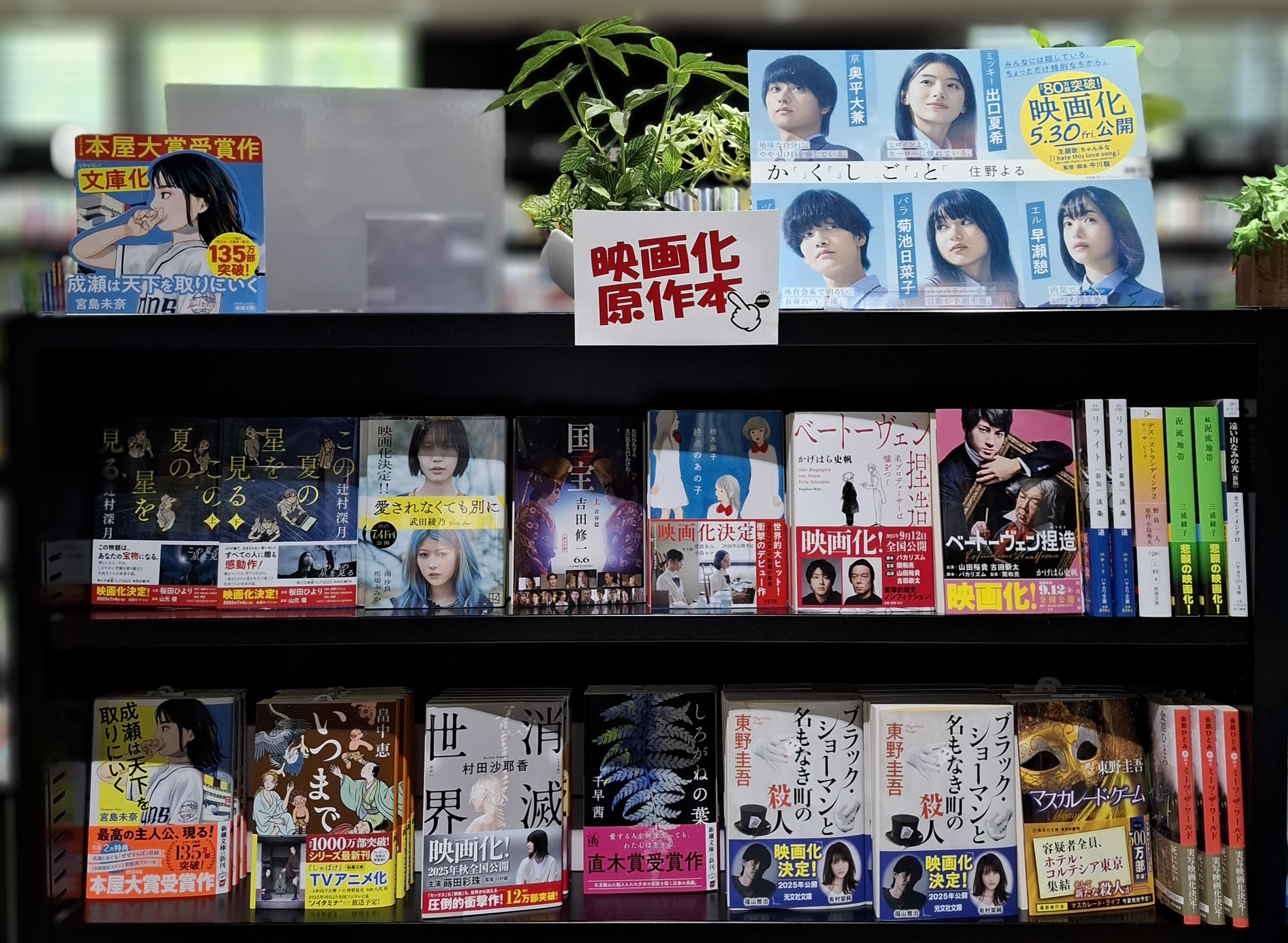 青山学院大学新聞 縮小版 1～150号【非売品】 Yahoo!オークション - 赤本 教学社 青山学院大学 総合文化政策