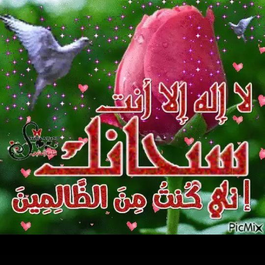 أَسْتَغْفِرُ اللَّهَ الْعَظِيمَ وَأَتُوبُ إِلَيْهِ