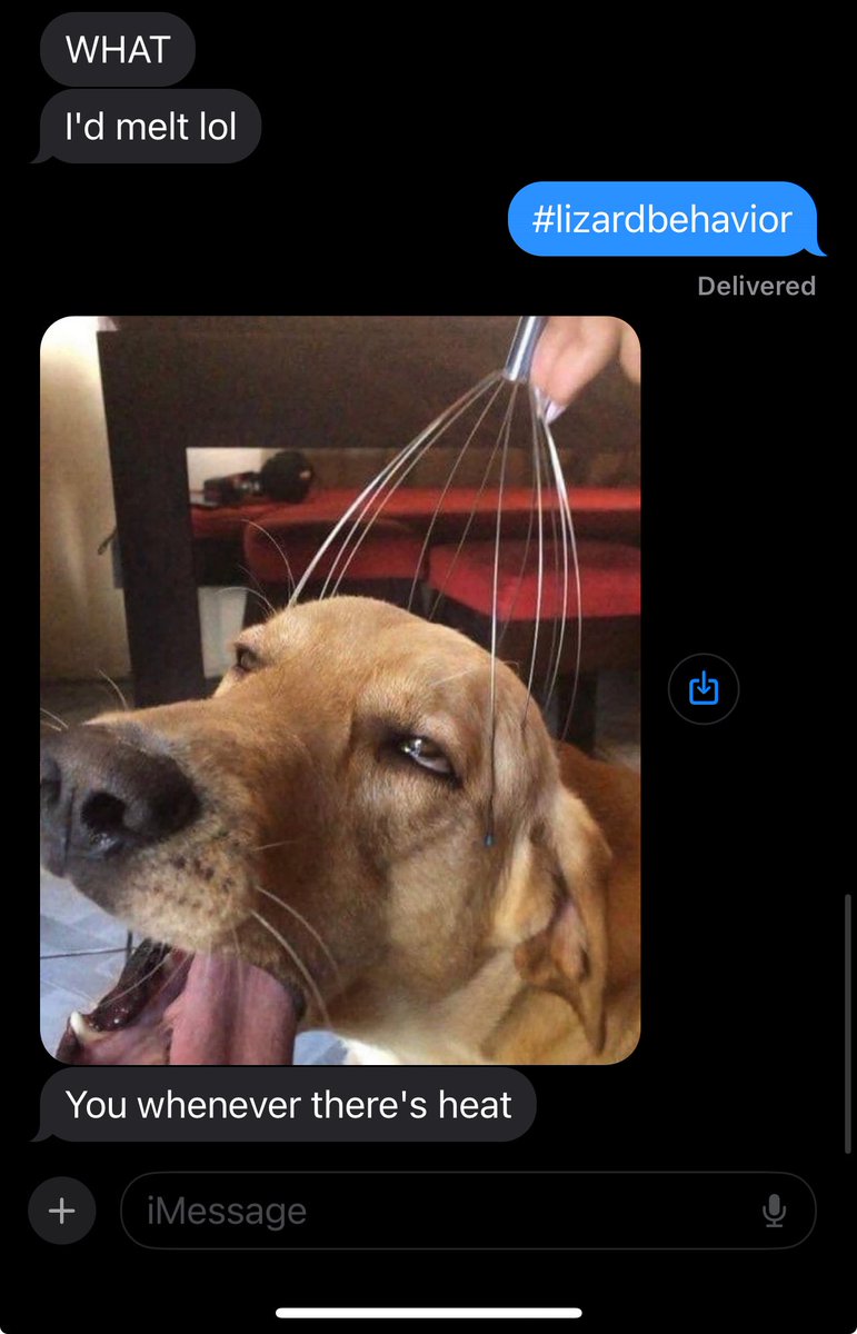 njwxwill's tweet image. Meant to post this last month but it’s relevant again with this current heatwave #njwx #lizardbehavior #heatwave