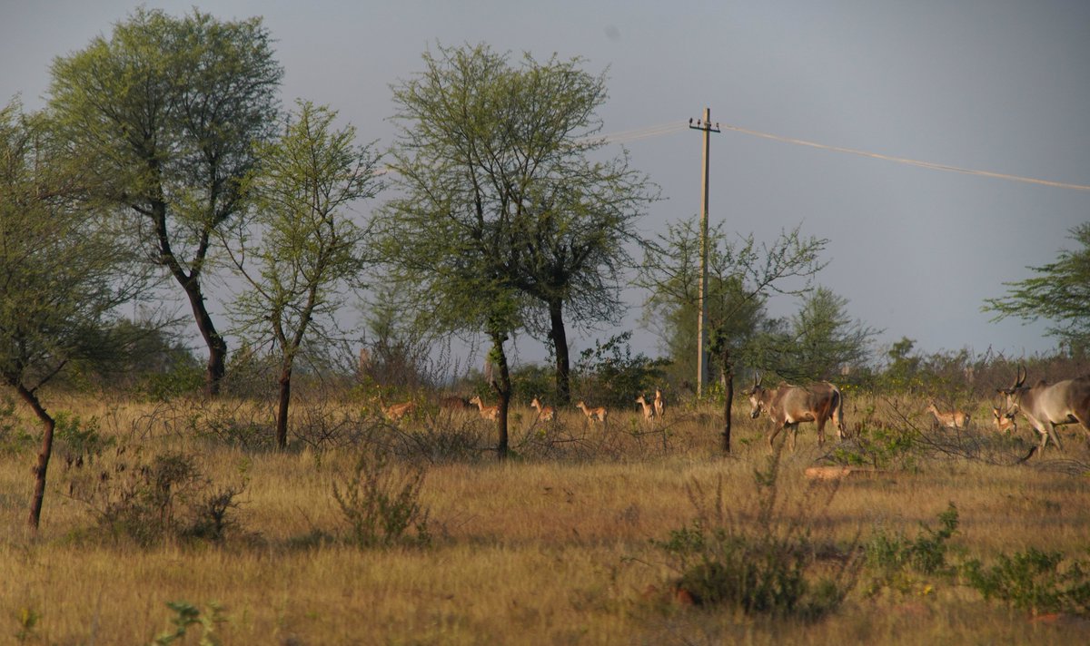 ಶೇಷಾದ್ರಿ ಕೆ ಎಸ್| Seshadri K S tweet media