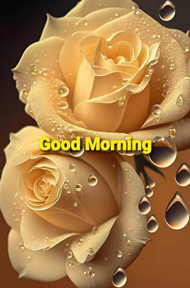 sreekumar_vasu's tweet image. To all my friends 🧑‍🤝‍🧑👭
Happy Tuesday 💕