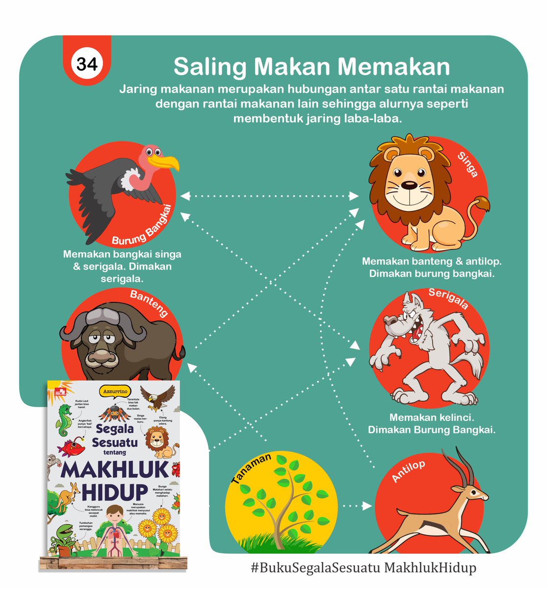 Joseph Story Books (@yusupsomadinata) on Twitter photo Ayah, apa sih jaring makanan itu?
Yaitu hubungan antar rantai makanan
yang alurnya membentuk jaring laba-laba.
Contoh, burung bangkai bisa memakan bangkai
serigala dan singa. Tapi serigala dan singa juga bisa memangsa burung bangkai.
#BukuSegalaSesuatu
By <a href="/elexmedia/">Elex Media Komputindo</a> Ayah, apa sih jaring makanan itu?
Yaitu hubungan antar rantai makanan
yang alurnya membentuk jaring laba-laba.
Contoh, burung bangkai bisa memakan bangkai
serigala dan singa. Tapi serigala dan singa juga bisa memangsa burung bangkai.
#BukuSegalaSesuatu
By <a href="/elexmedia/">Elex Media Komputindo</a>