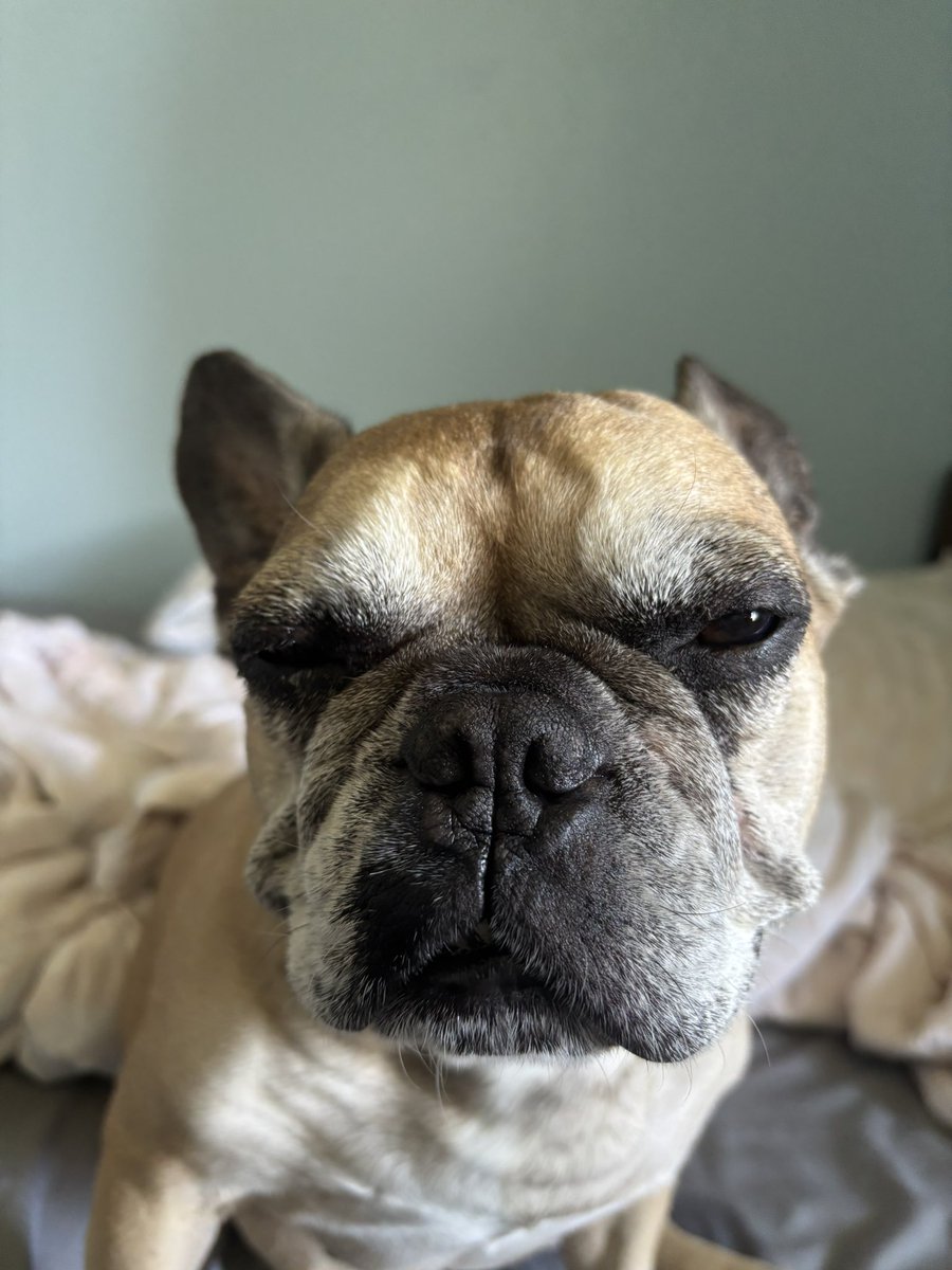 2-0 <a href="/YDZEsports/">YDZ Esports</a> 

GGWP SEE YALL NEXT WEEK meow