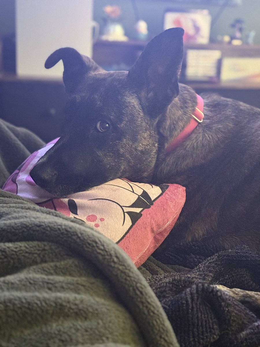 Brooooose 🏳️‍⚧️ tweet media