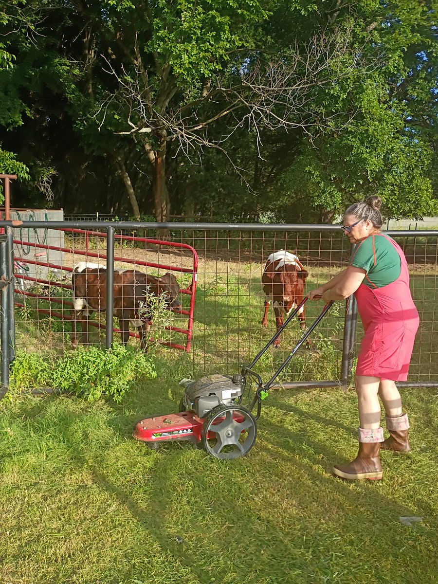 BuffaloRon's tweet image. Pro tip: buy your wife a fancy weedeater, and you will never have to do yardwork again.